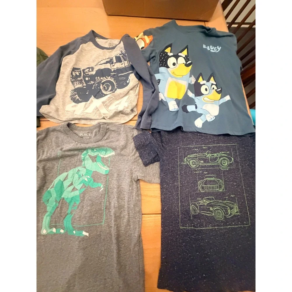 Mixed Brand Graphic T Shirt Hoodie Lot Boys Size 5-6 Casual Indie Skater